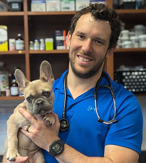 Dr. Stephen Migliore, Pine Grove Veterinarian