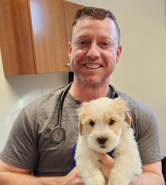 Dr. Steven Brady, Pine Grove Veterinarian